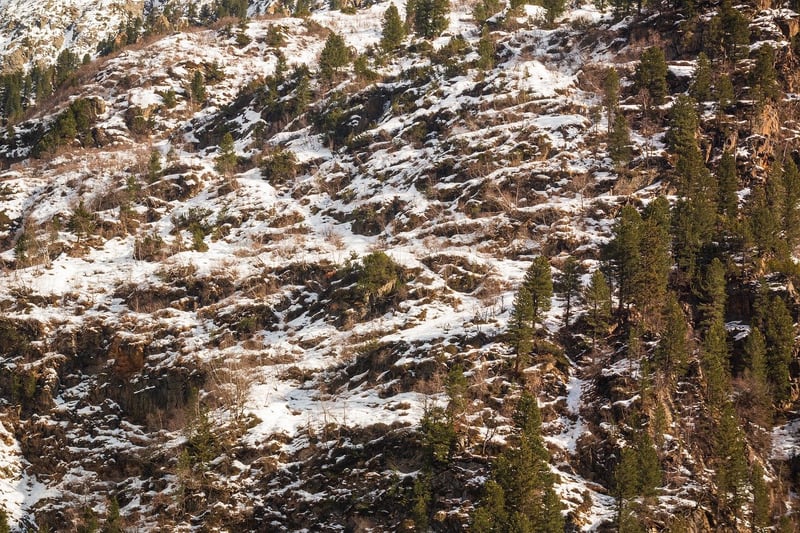 Travel Image